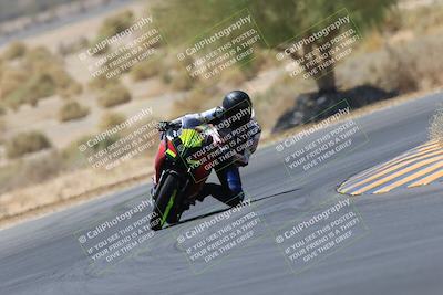 media/May-14-2023-SoCal Trackdays (Sun) [[024eb53b40]]/Turn 5 Tree of Life (1125am)/